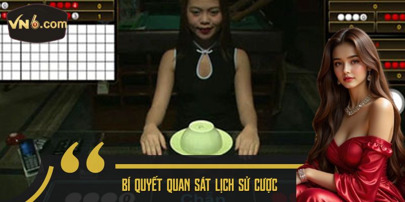 Bí quyết quan sát lịch sử cược 