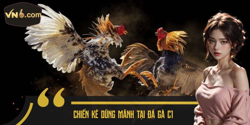 Chiến kê dũng mãnh tại đá gà C1