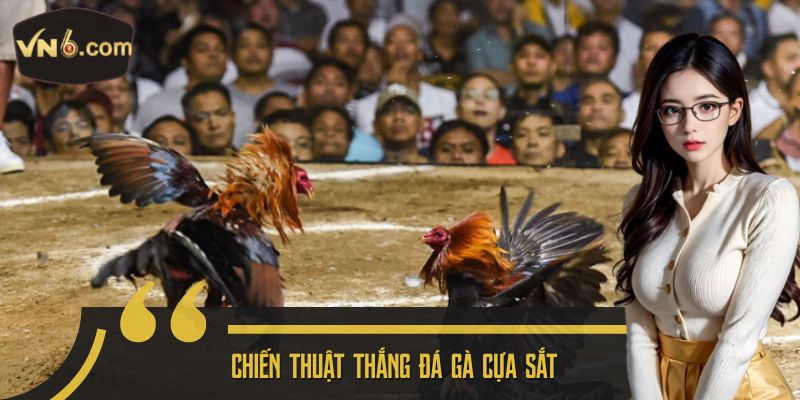 Chiến thuật thắng đá gà cựa sắt