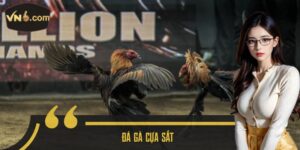Đá gà cựa sắt