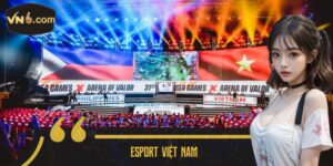 Esport Việt Nam