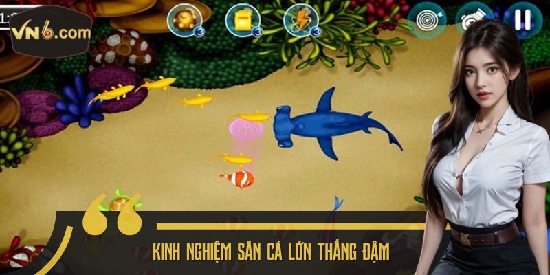 Kinh nghiệm săn cá lớn thắng đậm