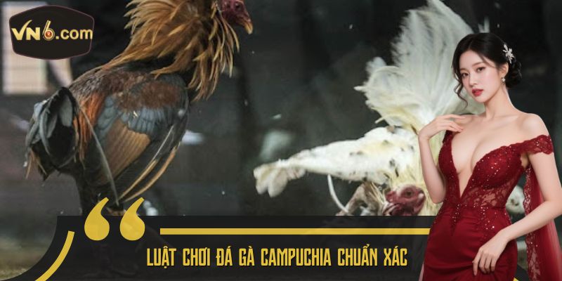 Luật chơi Đá gà Campuchia chuẩn xác