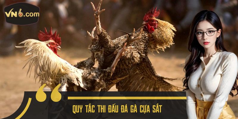 Quy tắc thi đấu đá gà cựa sắt