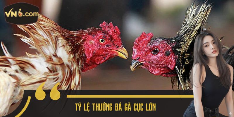 Tỷ lệ thưởng đá gà cực lớn